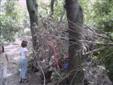 fort1