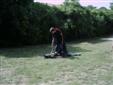 le combat2