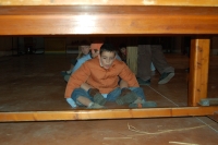 larve6